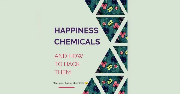 Happiness Chemicals And How To Hack Them!
